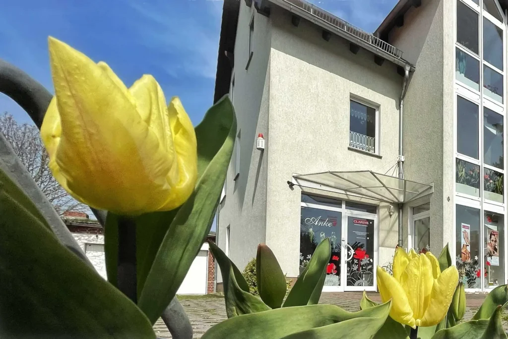 Kosmetikinstitut Anke - Brandenburg - Wir haben Liebe in unseren Händen. -Aussenaufnahmen-Salon - gelbe Tulpen